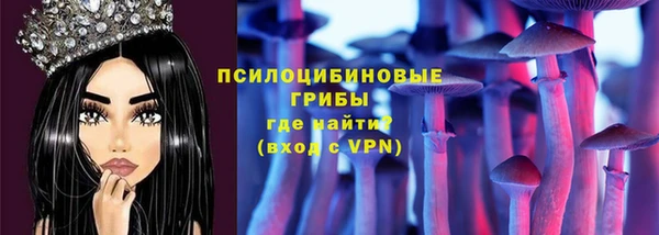 бошки Медногорск