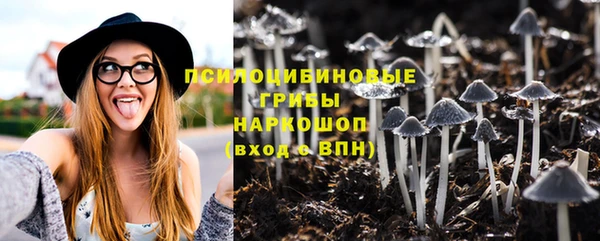 бошки Медногорск