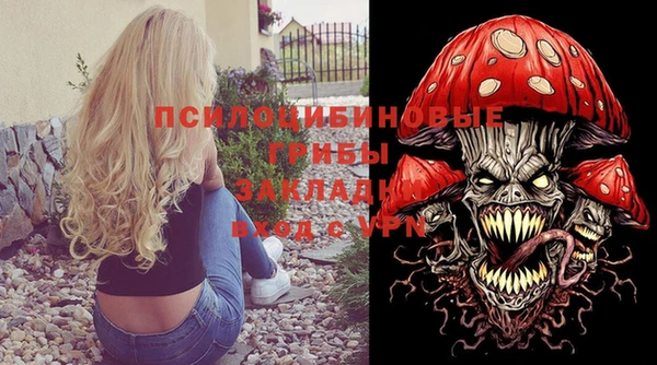 бошки Медногорск