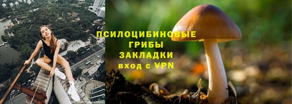 бутират Мегион
