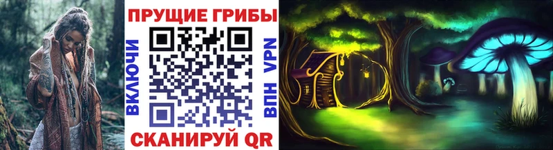 Галлюциногенные грибы Psilocybe Кингисепп