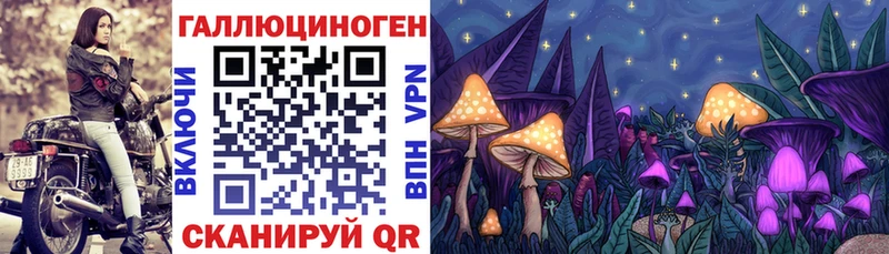 Купить где  Кингисепп  Псилоцибиновые грибы Cubensis 