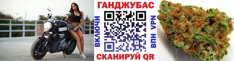 Купить  Кингисепп  Бошки Шишки сатива 